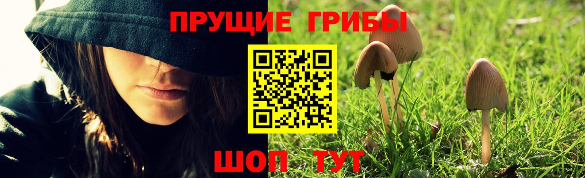 Псилоцибиновые грибы MAGIC MUSHROOMS  Вход с VPN  Славгород 