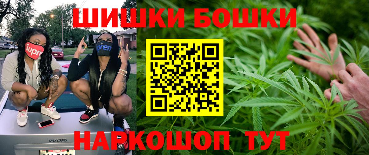 Канабис SATIVA & INDICA Славгород